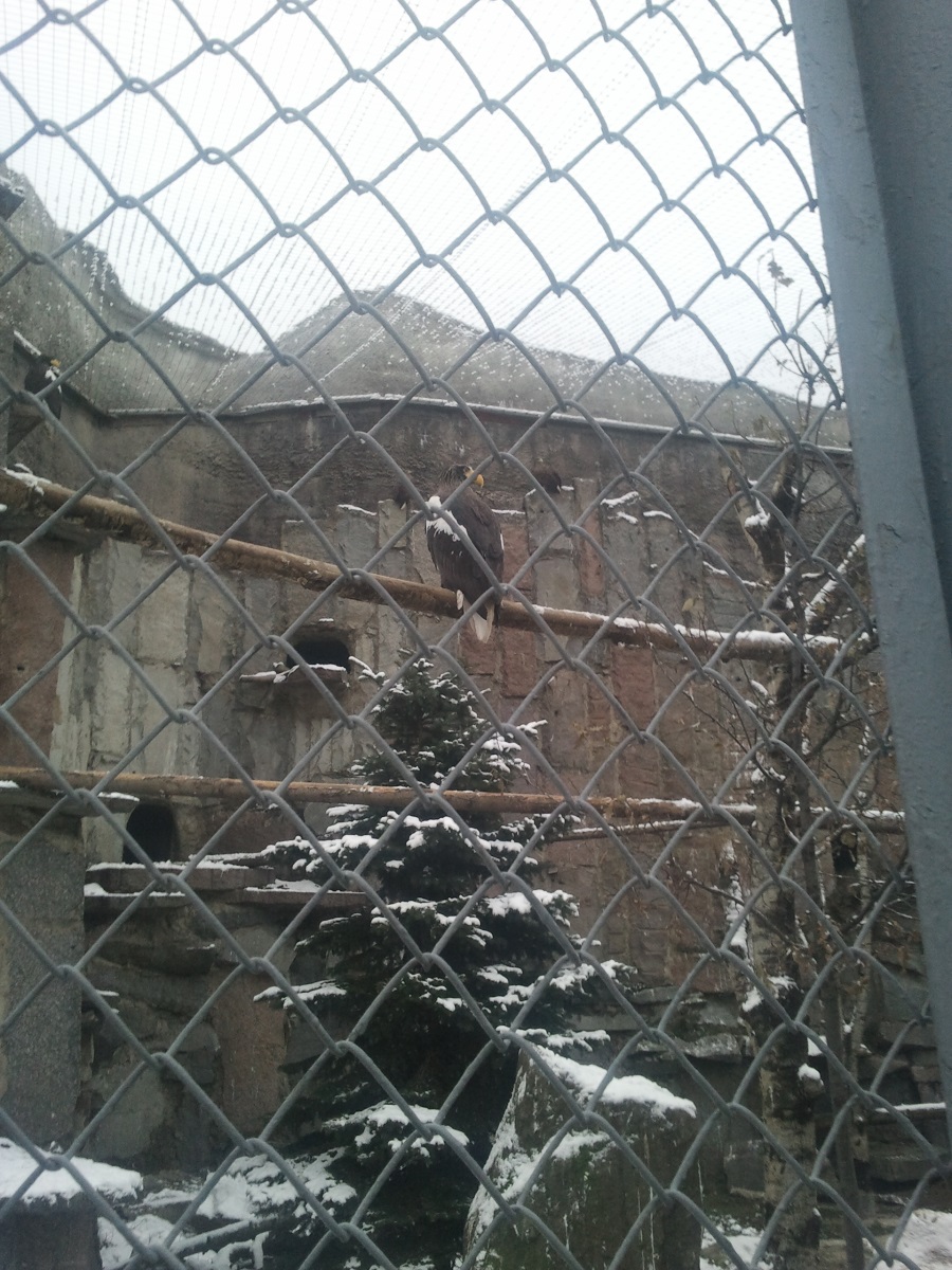 Zoo04.jpg