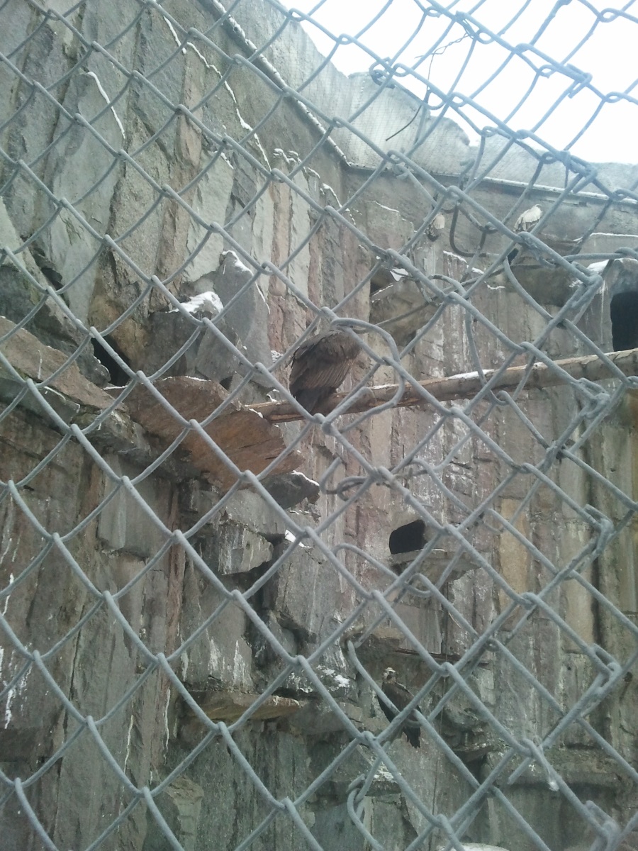 Zoo09.jpg