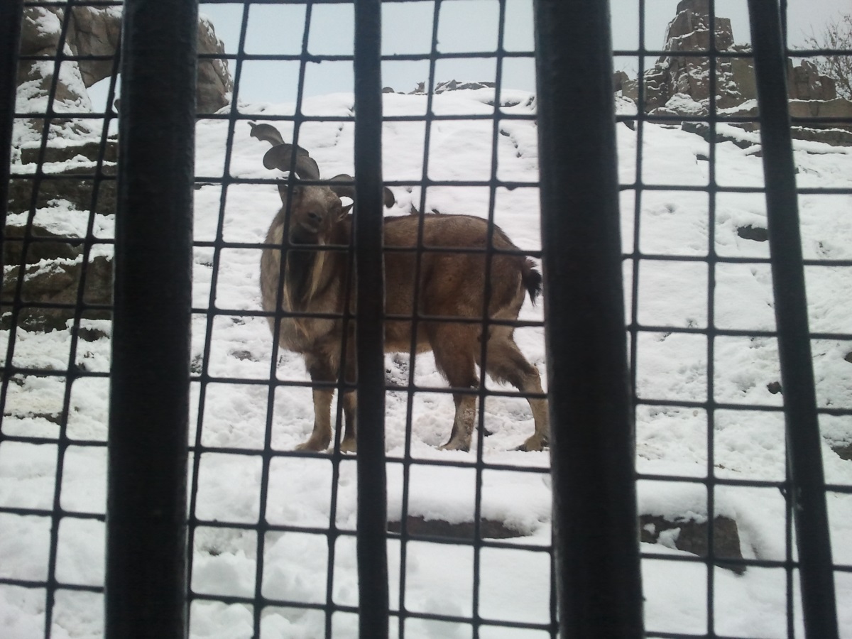 Zoo18.jpg