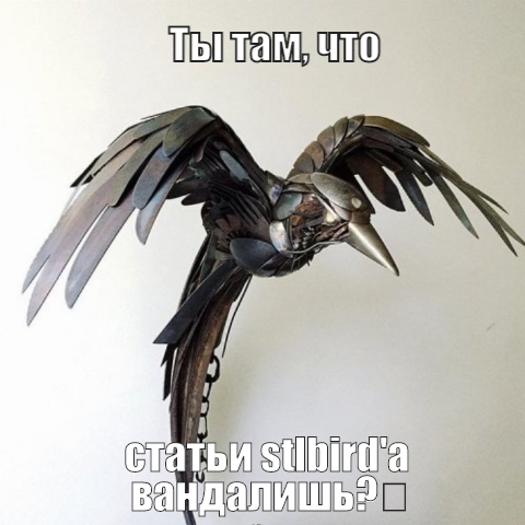 Мем с птицей.jpeg