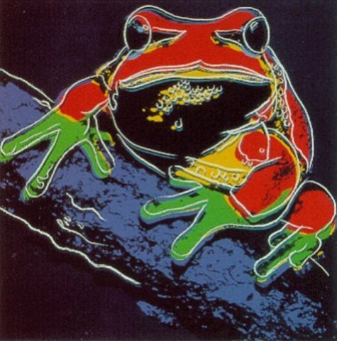 Frog.jpg