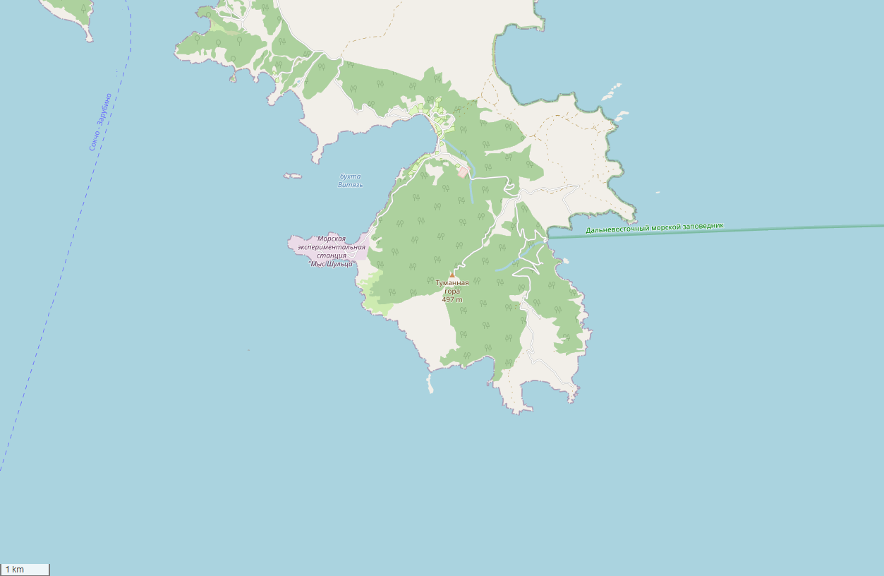КрТуманнаяПК2.png