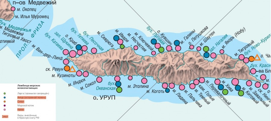 КрУруп1.png