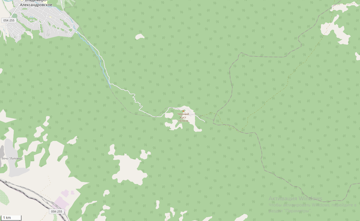 КрЧёрныйКуст2.png