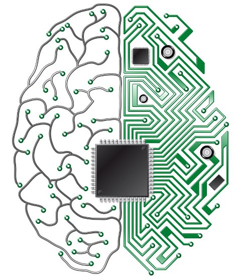 Neurogrid.jpg