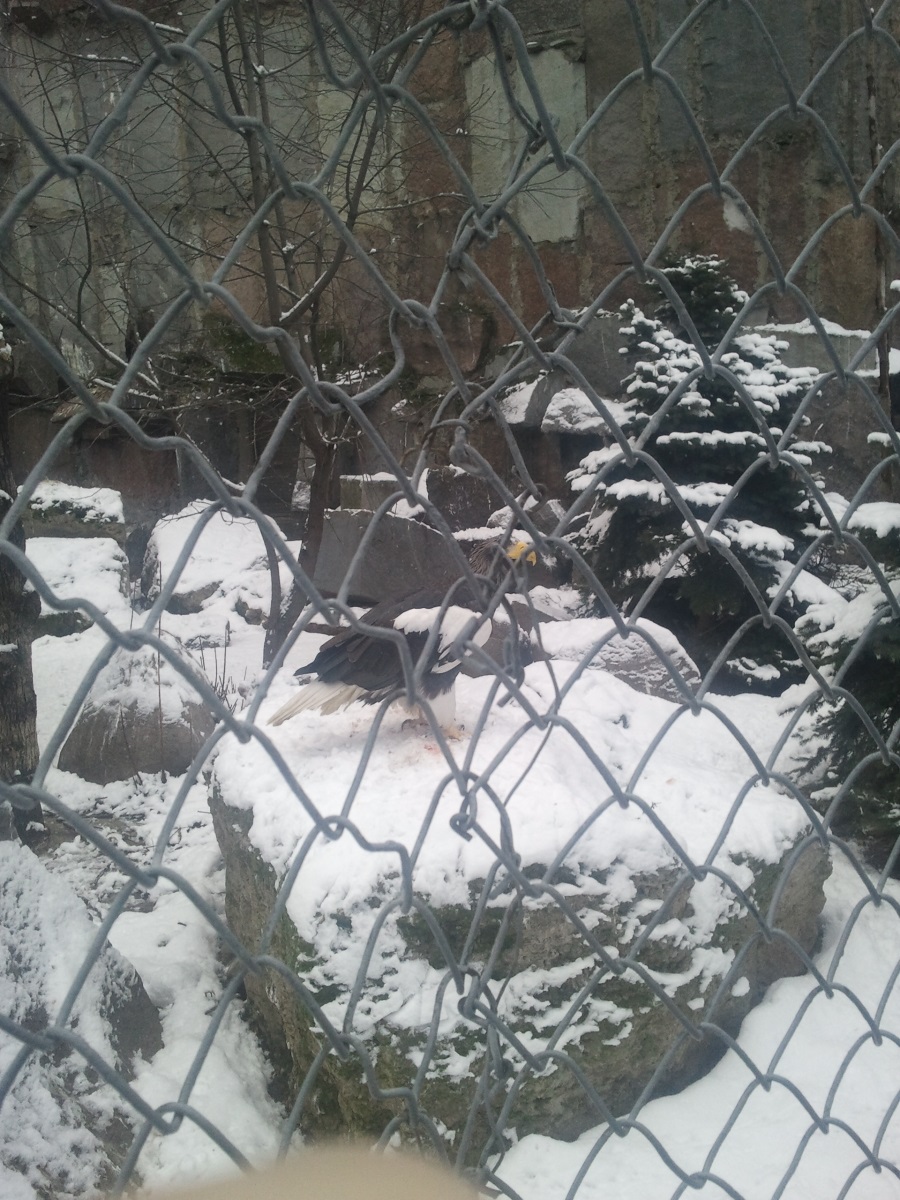 Zoo05.jpg