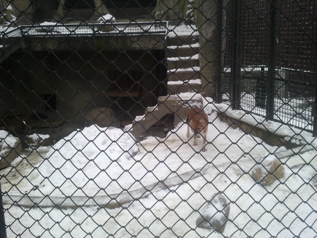 Zoo02.jpg